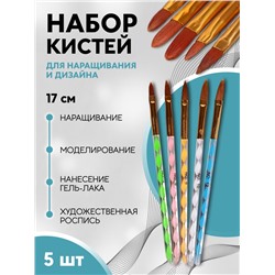 Набор кистей для наращивания и дизайна ногтей «Лепесток», 5 шт., 17 см, №4/6/8/10/12, разноцветный