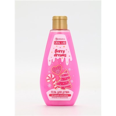 Подарочный набор новогодний: гель для душа 200 мл и бомбочки для ванны 4 шт. × 40 г, URAL LAB