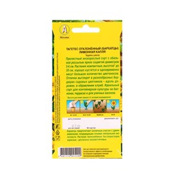 Набор семян цветов Бархатцы