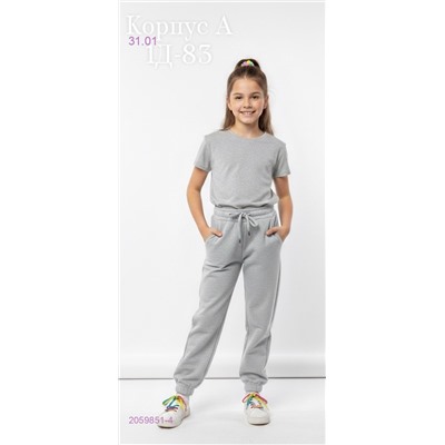 спортивные штаны 2059851-4