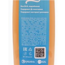 Шампунь детский, аромат сливочный пломбир, 250 мл, Коты аристократы