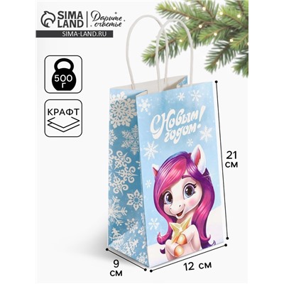 Пакет подарочный новогодний «Лошадка 2026», 12×21×9 см