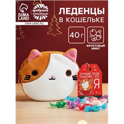 Леденцы «Лучший подарочек» в кошельке, со вкусом арбуза, 40 г