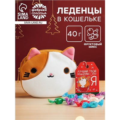 Леденцы «Лучший подарочек» в кошельке, со вкусом арбуза, 40 г