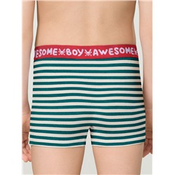 PELICAN Трусы BUHB3307(2)