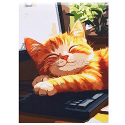 Холст с красками 30x40 по номерам "Спящий милый котик" в коробке (30цв.)