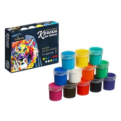 Краска по ткани, набор 12 цветов × 20 мл, морозостойкая, акриловая на водной основе, Calligrata