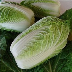 5136D Капуста пекинская Медалист F1 10шт