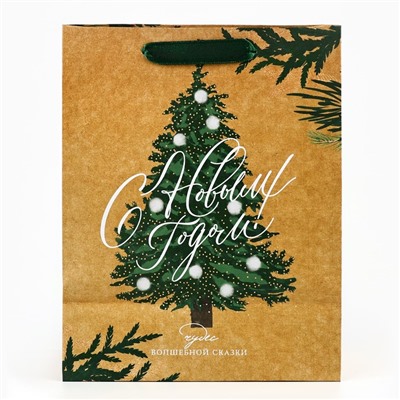 Пакет подарочный новогодний крафтовый «Winter», MS 18×23×10 см