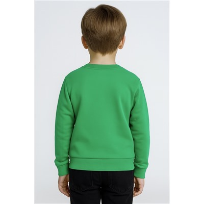 Свитшот для мальчика ROC26