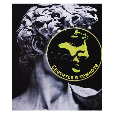 Картина по номерам 40х50 "Давид. Микеланджело" со светящейся краской (9 цветов)