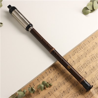 Флейта Music Life 52 см, с узорами, тональность F, бамбук, разборная