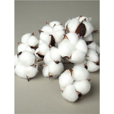 Цветок искусственный 15 штук 5 см белый / W-264 /уп 40/160/