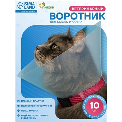 Ветеринарный воротник с креплением на ошейник, высота 10 см (без ошейника)