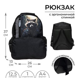 Рюкзак школьный, эргономичная спинка, 37×26×13 см «Енот»