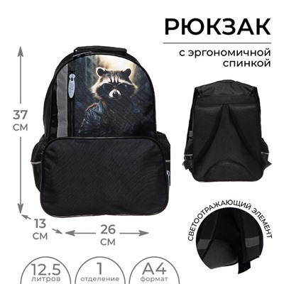 Рюкзак школьный, эргономичная спинка, 37×26×13 см «Енот»