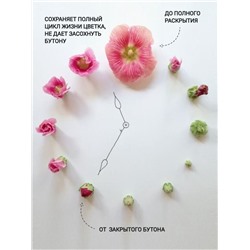 Удобрение для срезанных цветов «Срезка», 5 г набор 50 шт.