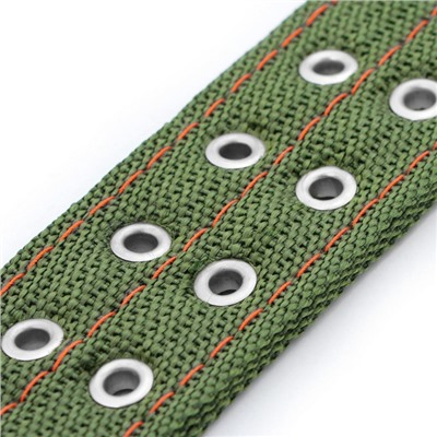 Ошейник, 80×4.9 см, ОШ 64-74 см, четырёхслойный, с вертлюгом, полиэстер, зелёный