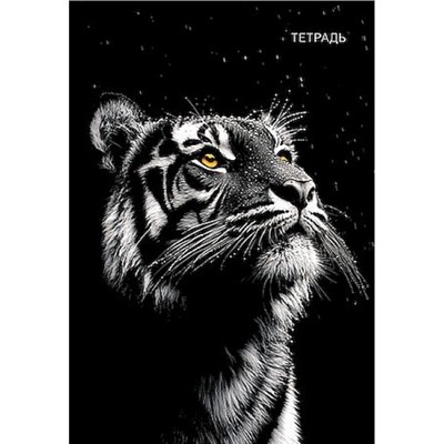 Тетрадь А4  96л клетка на спирали "Тигр  на черном" С0268-24 КТС-ПРО