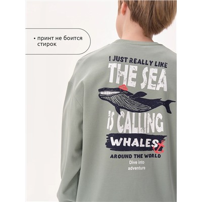 PELICAN Толстовка BFN3371U