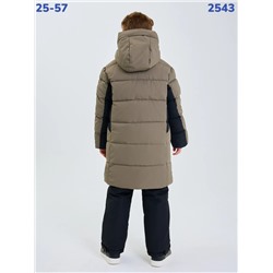 Куртка 2543 бежевый