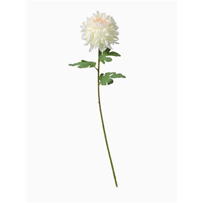 Цветы искусственные «Хризантема садовая галант», 14×57 см, белые