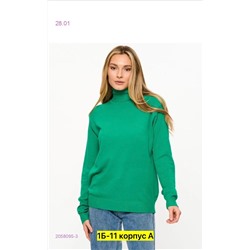 Водолазка 2058095-3