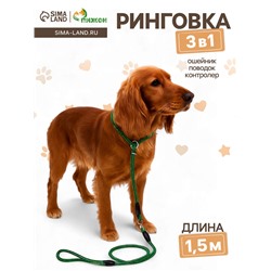 Ринговка для собак, с вертлюгом, 150×0.6 см, чёрная/зелёная