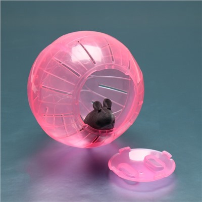 Шар для грызунов «Пижон», 12 см, розовый