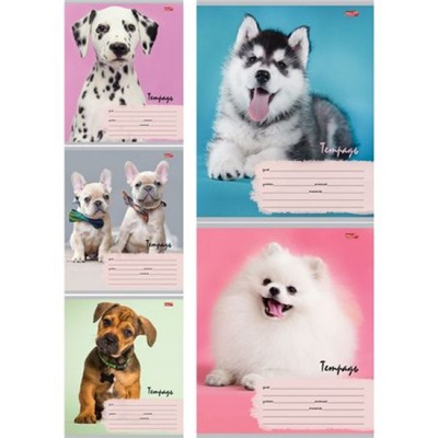 Тетрадь  12л  1 класс в две линии с наклонными и доп.горизонтальной "МИЛЫЕ ЩЕНКИ - 6" 12-5569 Проф-Пресс