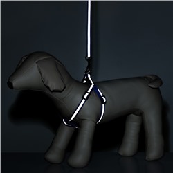 Комплект со светоотражающей лентой, ширина 1 см, поводок 120 см, шлейка 26-40 см, синий