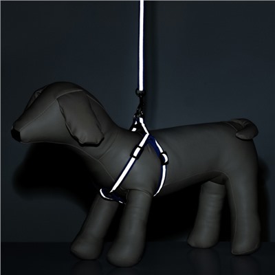 Комплект со светоотражающей лентой, ширина 1 см, поводок 120 см, шлейка 26-40 см, синий