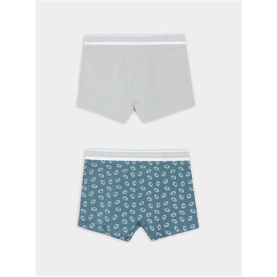 ТРУСЫ МУЖСКИЕ (2ШТ) 411228-2