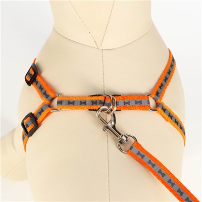 Комплект светоотражающий «Косточки», ошейник 120×1 см, ОШ 24-40 см, ОГ 24-40 см оранжевый