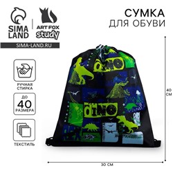 Мешок для обуви «Динотайм» (болоньевый материал) 43×33 см