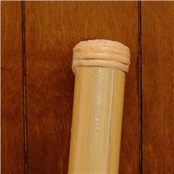 Сувенирный музыкальный инструмент «Посох дождя», 50 см, МИКС