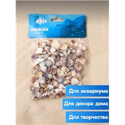 Набор ракушек Rose petal tellin, 100 г