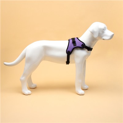 Шлейка К7 мягкая светоотражающая, размер L, ОГ 64-86 см, вес 18- 27.5 кг, фиолетовая