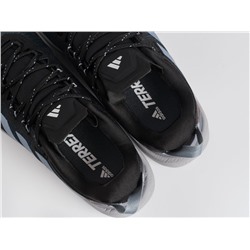 Кроссовки Adidas Terrex Skychaser Tech Low Gtx