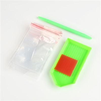 Алмазная мозаика с частичным заполнением на холсте «Незнакомец», 30×40 см