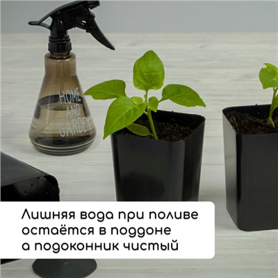 Набор для рассады: стаканы по 300 мл (12 шт.), поддон 45 × 18 см, МИКС, Greengo