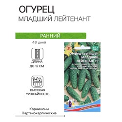 Семена огурец корнишон «Младший лейтенант F1», 10 шт.
