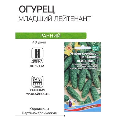 Семена огурец корнишон «Младший лейтенант F1», 10 шт.