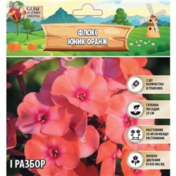 Флокс "Юник Оранж" р-р I, 2 шт, Весна 2025