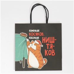 Пакет подарочный новогодний «Косяки наше всё», 22×22×11 см