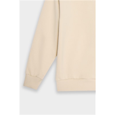 Толстовка для мальчиков MARK FORMELLE, 1232999