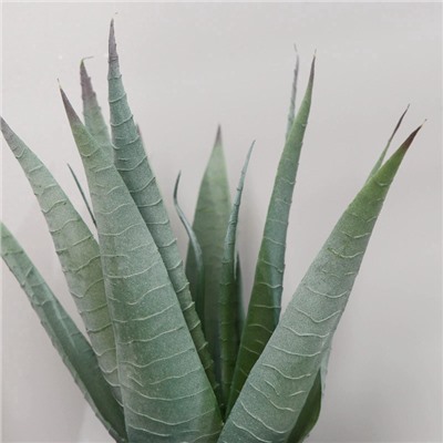 Искусственный цветок в горшке «Алоэ вера», 10×25 см