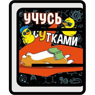 Папка для труда А4 молния вокруг 32,5х23х2,5 см ПТР-1 "УЧУСЬ СУТКАМИ" Пчелка