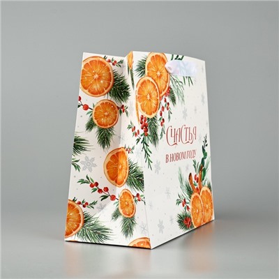 Пакет подарочный новогодний ламинированный квадратный «Счастья в Новом году», 22×22×11 см