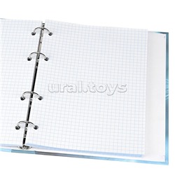 Тетрадь 80л. клетка "Голубоглазая кошка" на кольцах, глянцевая ламинац, лен